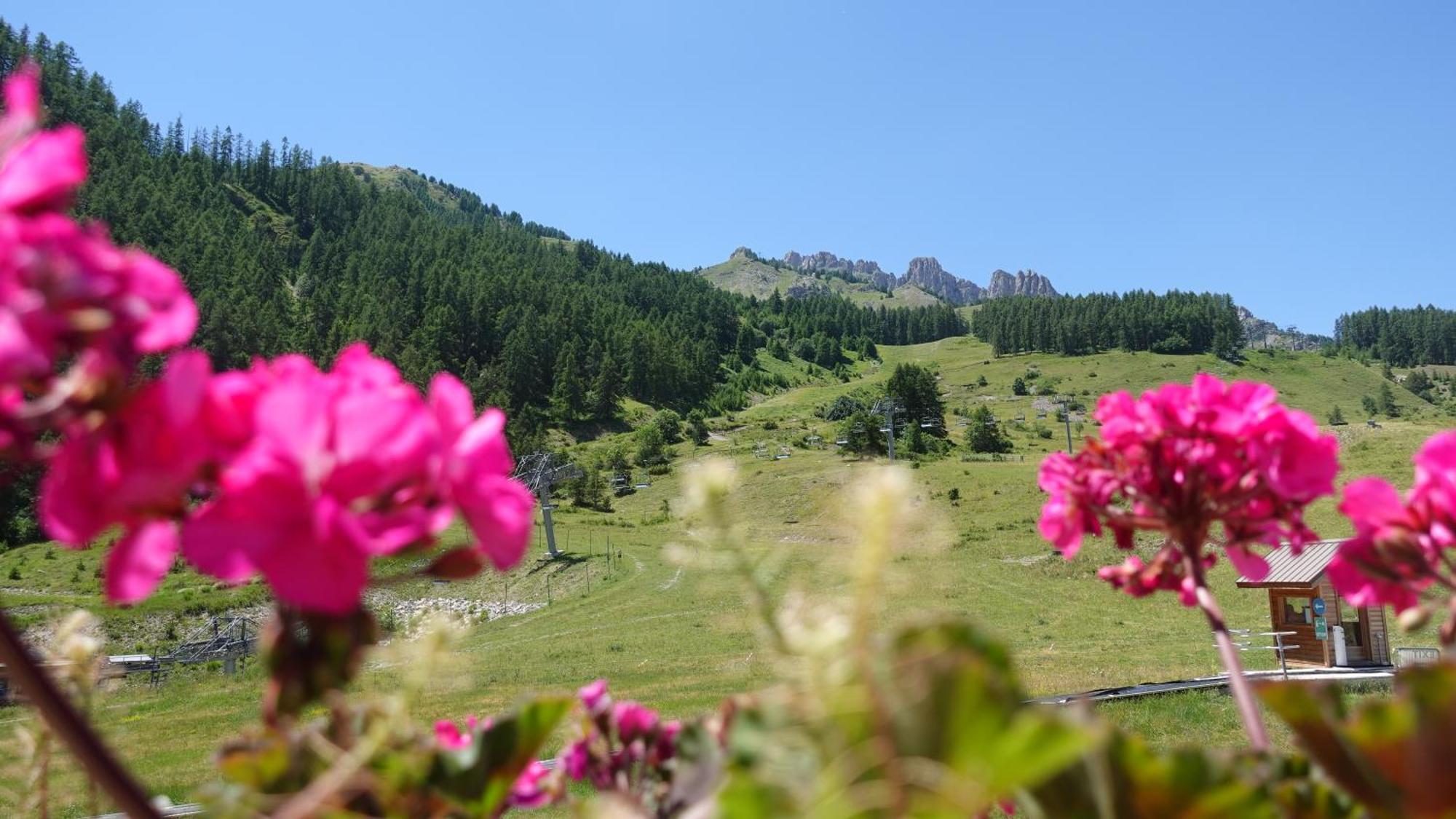 Le Balcon Des Ecrins